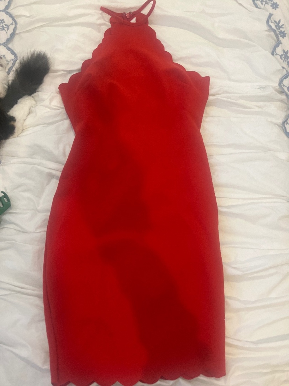 Dress Mini Dress